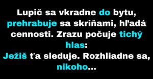 Lupič narazí v byte na papagája (Vtip)