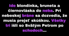 Blondína, bruneta a čiernovláska musia prejsť testom (Vtip)