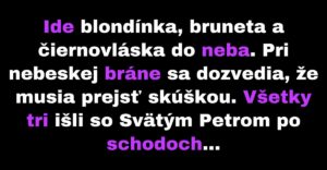 Blondína, bruneta a čiernovláska musia prejsť testom (Vtip)