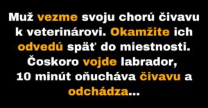 Muž dostane vysoký účet za vyšetrenie jeho čivavy (Vtip)