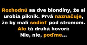 Dve blondínky sa rozhodujú, kde si spravia piknik (Vtip)