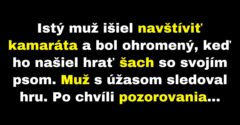 Muž bol ohromený, keď uvidel svojho psa hrať šach (Vtip)