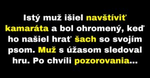 Muž bol ohromený, keď uvidel svojho psa hrať šach (Vtip)