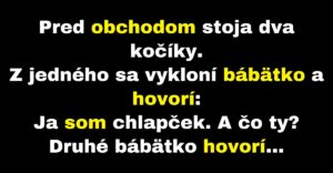 Pred obchodom sa skamarátia dve bábätká (Vtip)