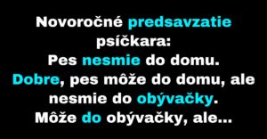 Novoročné predsavzatia psíčkarov (Vtip)