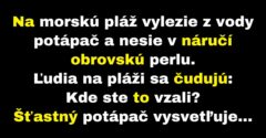 Potápač zabezpečí obchodu tú najlepšiu tržbu (Vtip)