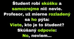 Profesor sa spýta študenta jednoduchú otázku (Vtip)