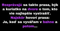 Prasa, býk a kuriatko hovoria o tom, kto vie lepšie vystrašiť (Vtip)