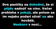 Dve paničky sa po dlhej noci ocitnú na cintoríne (Vtip)