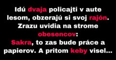 Dvaja policajti si svojsky poradili s obesencami (Vtip)