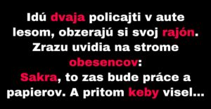 Dvaja policajti si svojsky poradili s obesencami (Vtip)