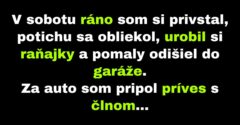 Manželka nečakala taký skorý príchod manžela z rybačky (Vtip)