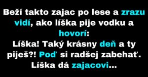 Zajac volá zvieratá, aby išli s ním behať (Vtip)