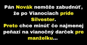 Pán Novák chce ušetriť na vianočnom darčeku pre ženu (Vtip)