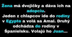 Žena zatúži vidieť svoje deti, ktoré dala na adopciu (Vtip)