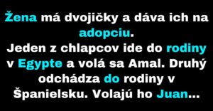 Žena zatúži vidieť svoje deti, ktoré dala na adopciu (Vtip)