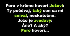 Fero opisuje Jožovi svoj neskutočný sen (Vtip)