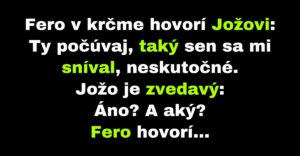 Fero opisuje Jožovi svoj neskutočný sen (Vtip)