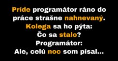 Programátorovi sa počas práce prihodilo nešťastie (Vtip)