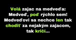 Zajac volá na medveďa, aby mu oznámil dôležitú vec (Vtip)