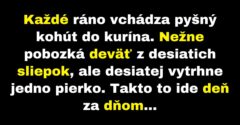 Pyšný kohút pobozká deväť sliepok a desiatej vytrhne pierko (Vtip)