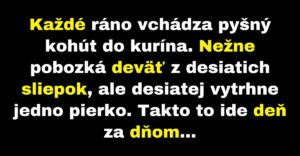 Pyšný kohút pobozká deväť sliepok a desiatej vytrhne pierko (Vtip)