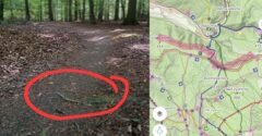 Kto takéto niečo vôbec urobí? FOTKA z lesa, pri ktorej sa rozum zastavuje, vyvolala ostré reakcie