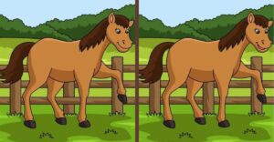 Nájdete na obrázku všetky rozdiely do 14 sekúnd?