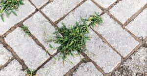 Dajte zbohom burine v dlažbe. Budú vám stačiť dve lacné suroviny, ktoré máte v kuchyni